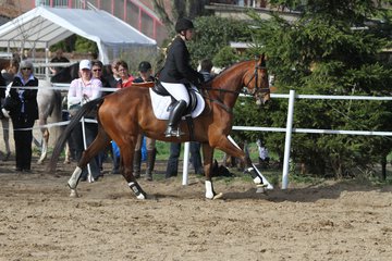 Bild 1367 - WBO-Turnier am 9.4.11